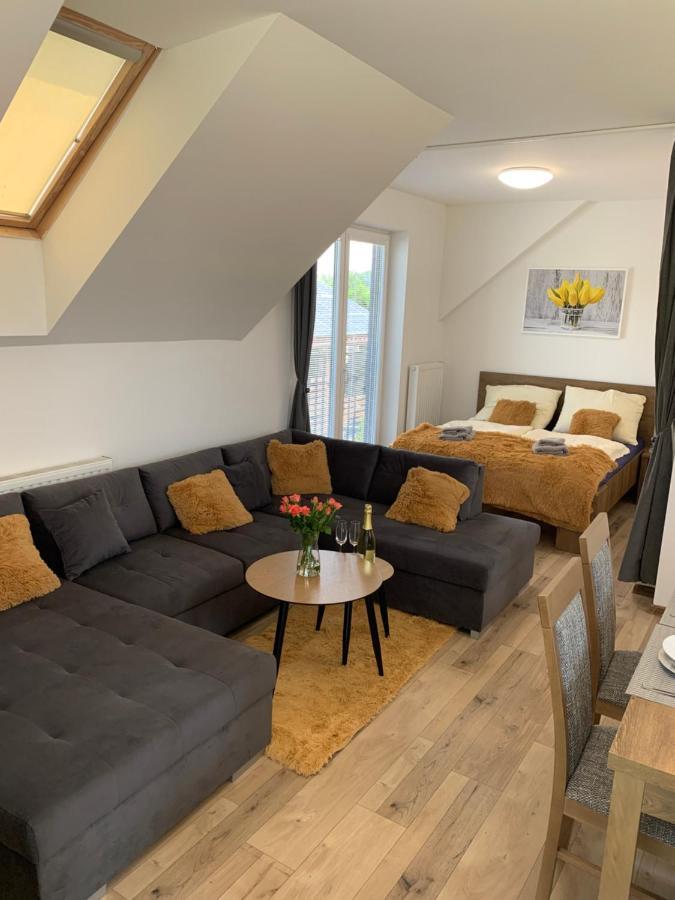 Cozy 2-Bedroom Vacation Apartment With Entire Top Floor Gaj  Экстерьер фото